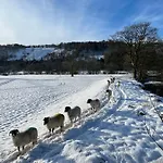 The Snug - Walker's Delight *