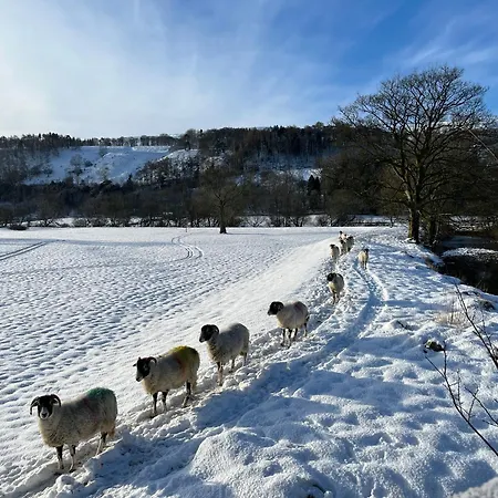 The Snug - Walker's Delight *