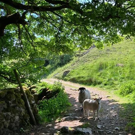 The Snug - Walker's Delight Apartamento *