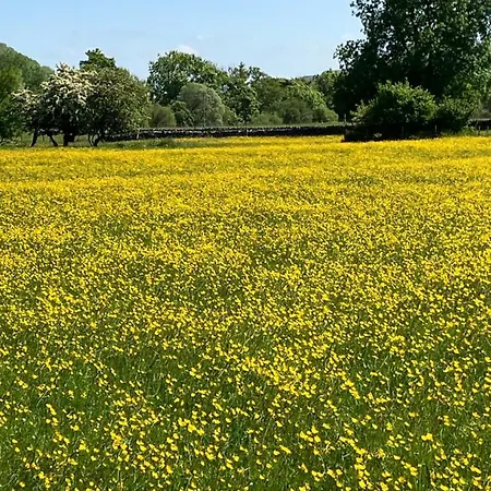 The Snug - Walker's Delight