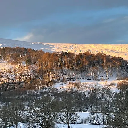 The Snug - Walker's Delight *